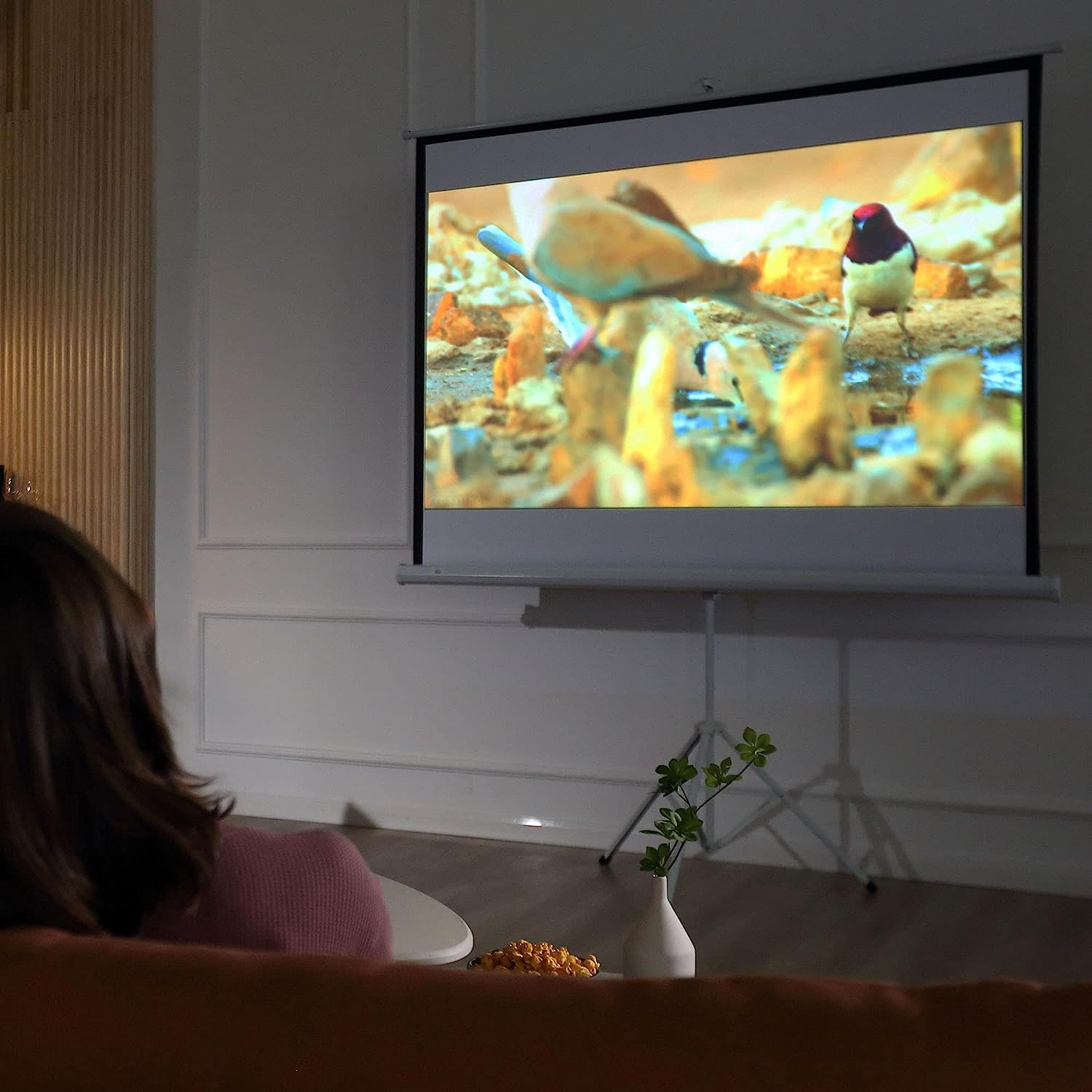 Spectatrice devant une toile blanche sur trépied affichant un documentaire animalier